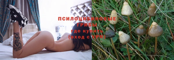марки nbome Алексеевка
