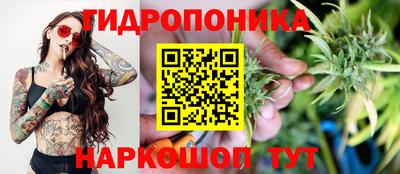 дживик Тара