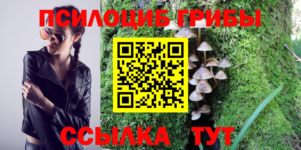 Псилоцибиновые грибы MAGIC MUSHROOMS Мегион